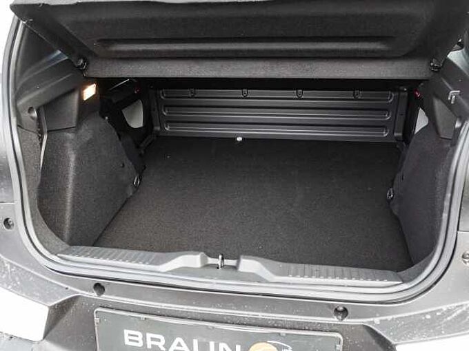 Citroen &euml;-C3 VAN ELEKTRO