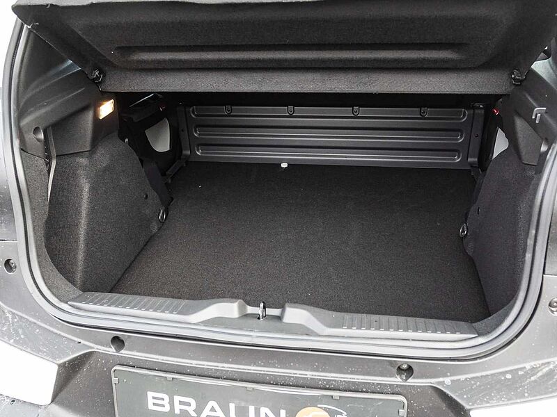 Citroen &euml;-C3 VAN ELEKTRO