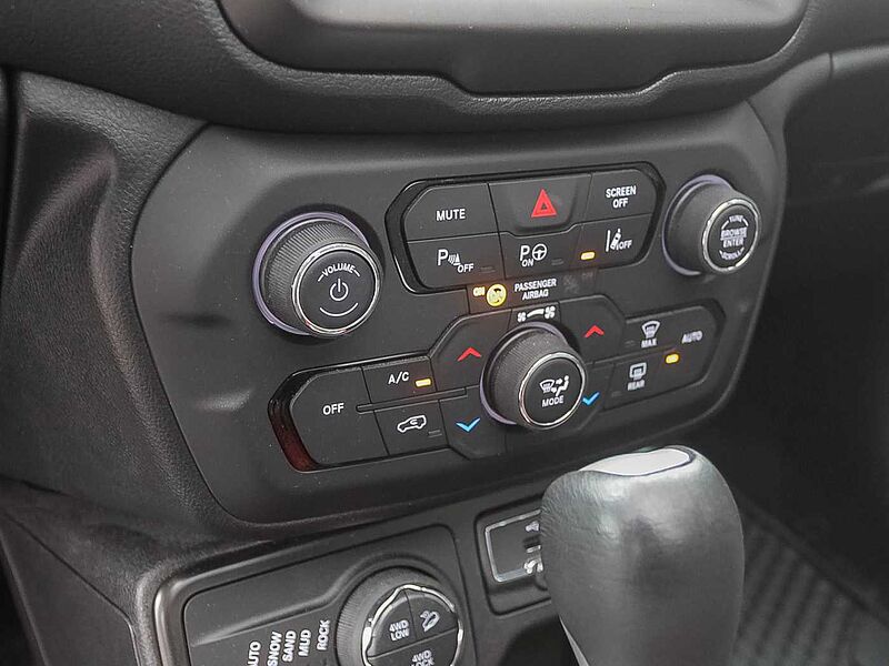 Jeep Renegade 2.0 MultiJet Trailhawk Panorama